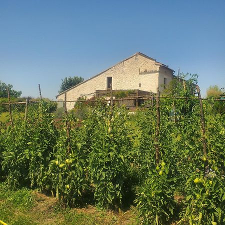 Hotel Au Mas De Janita à Cahuzac-sur-Vère Extérieur photo
