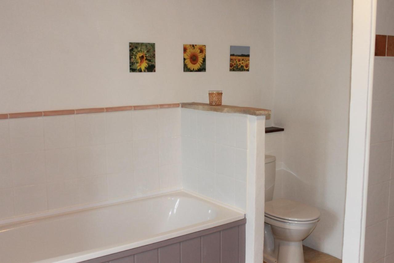 Hotel Au Mas De Janita à Cahuzac-sur-Vère Extérieur photo