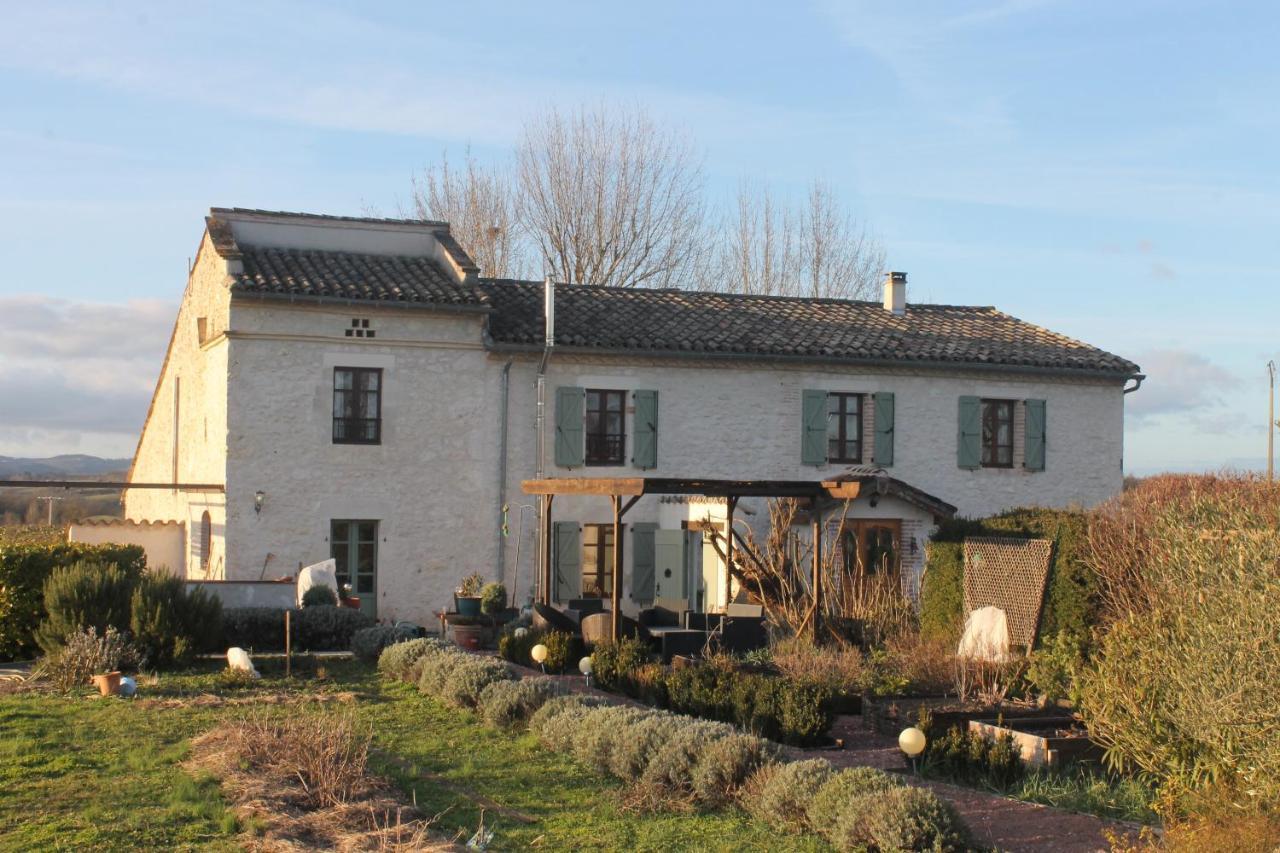 Hotel Au Mas De Janita à Cahuzac-sur-Vère Extérieur photo