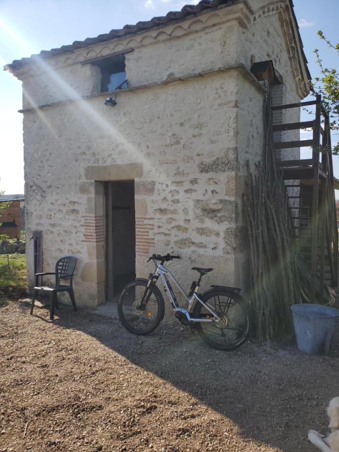 Hotel Au Mas De Janita à Cahuzac-sur-Vère Extérieur photo