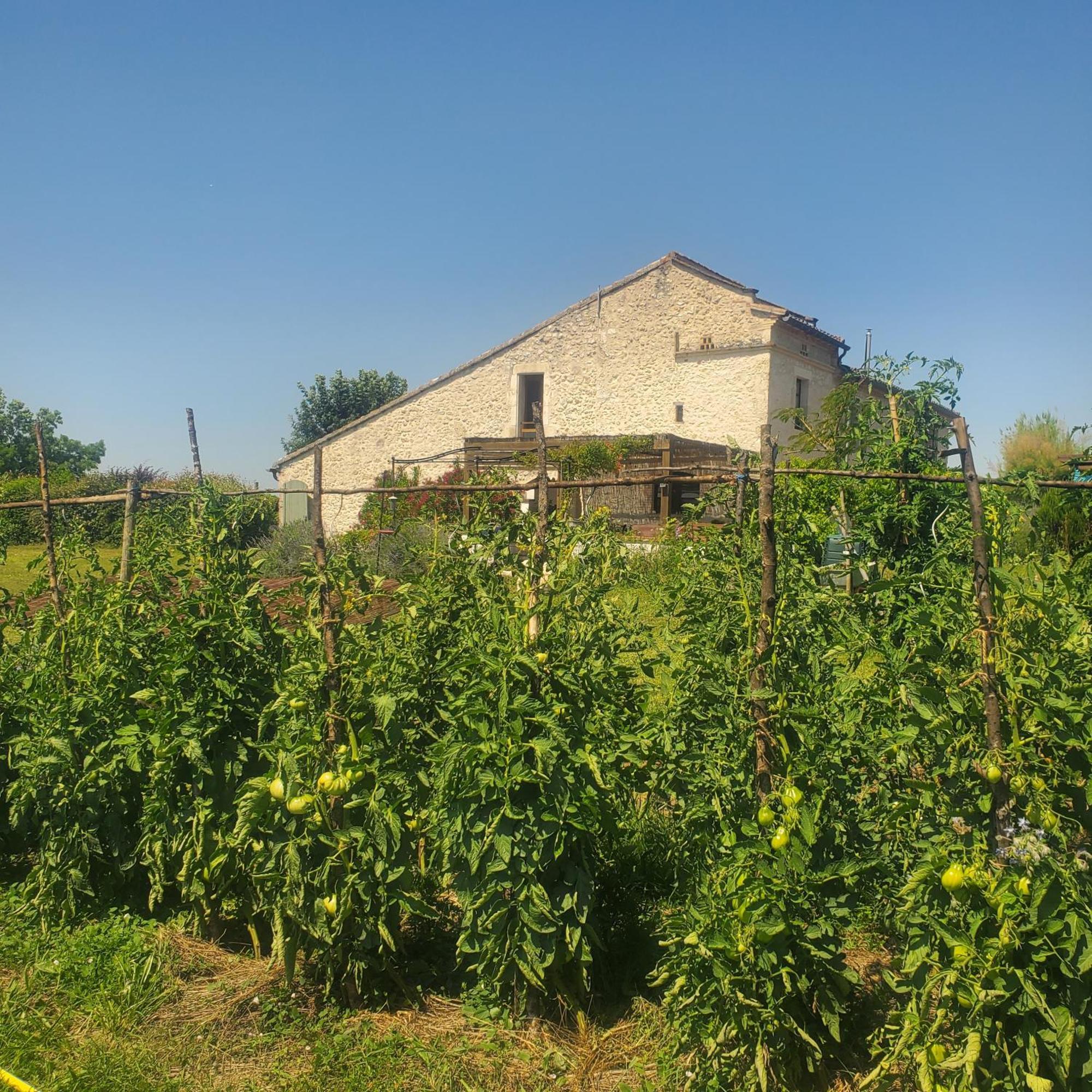 Hotel Au Mas De Janita à Cahuzac-sur-Vère Extérieur photo